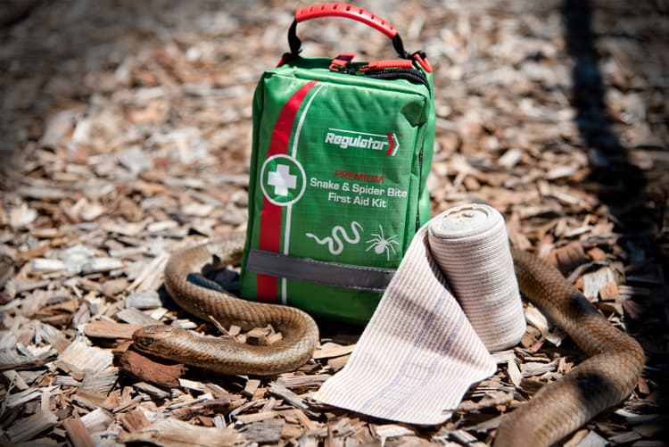 Snake Bite Awareness Day 2023: Understanding the Dangers of Venomous Snakes in Australia - Featured blog post image for LFA First Response